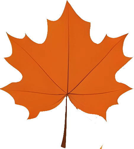 Downloadable Transparent Leaf PNG Image_10.webp